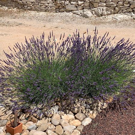 Au Fil Des Cevennes Bed & Breakfast Saint-Jean-de-Maruéjols-et-Avéjan Eksteriør bilde